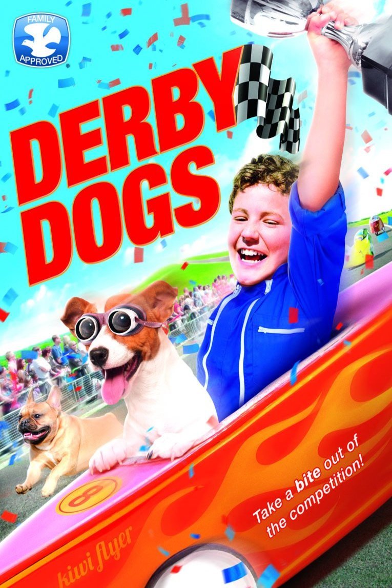 L'affiche du film Kiwi Flyer