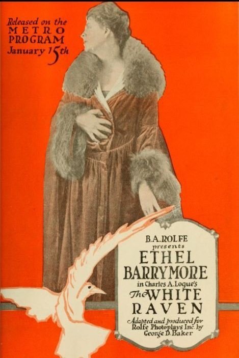 L'affiche du film The White Raven
