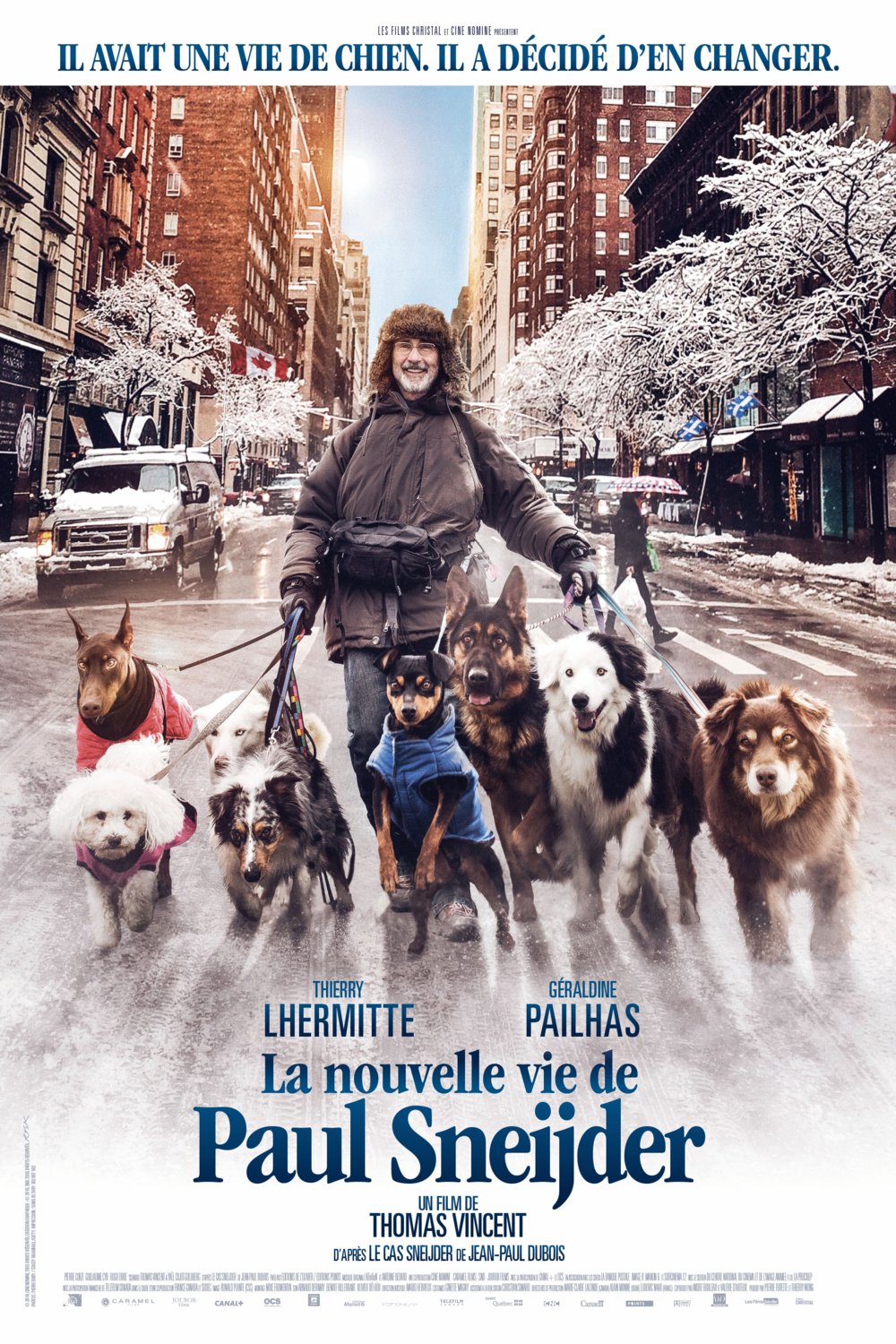 L'affiche du film La Nouvelle vie de Paul Sneijder