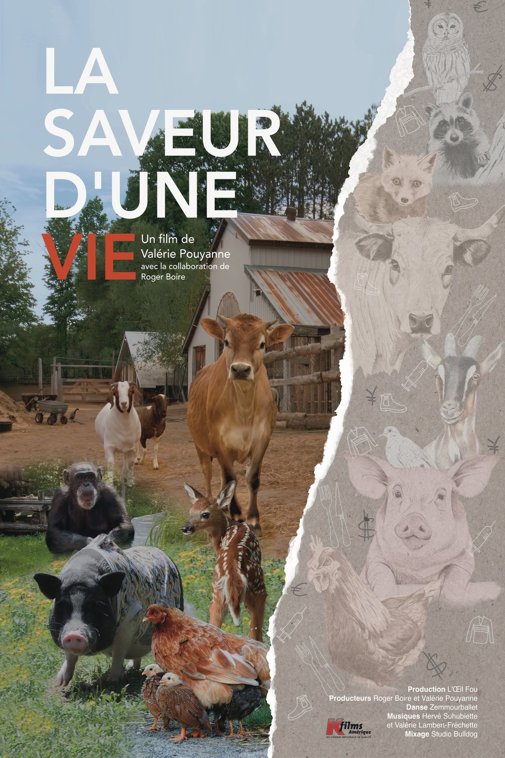 L'affiche du film La saveur d'une vie