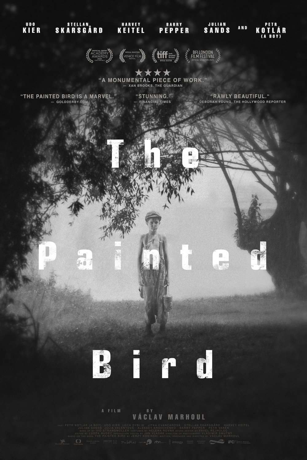L'affiche du film L'oiseau bariolé