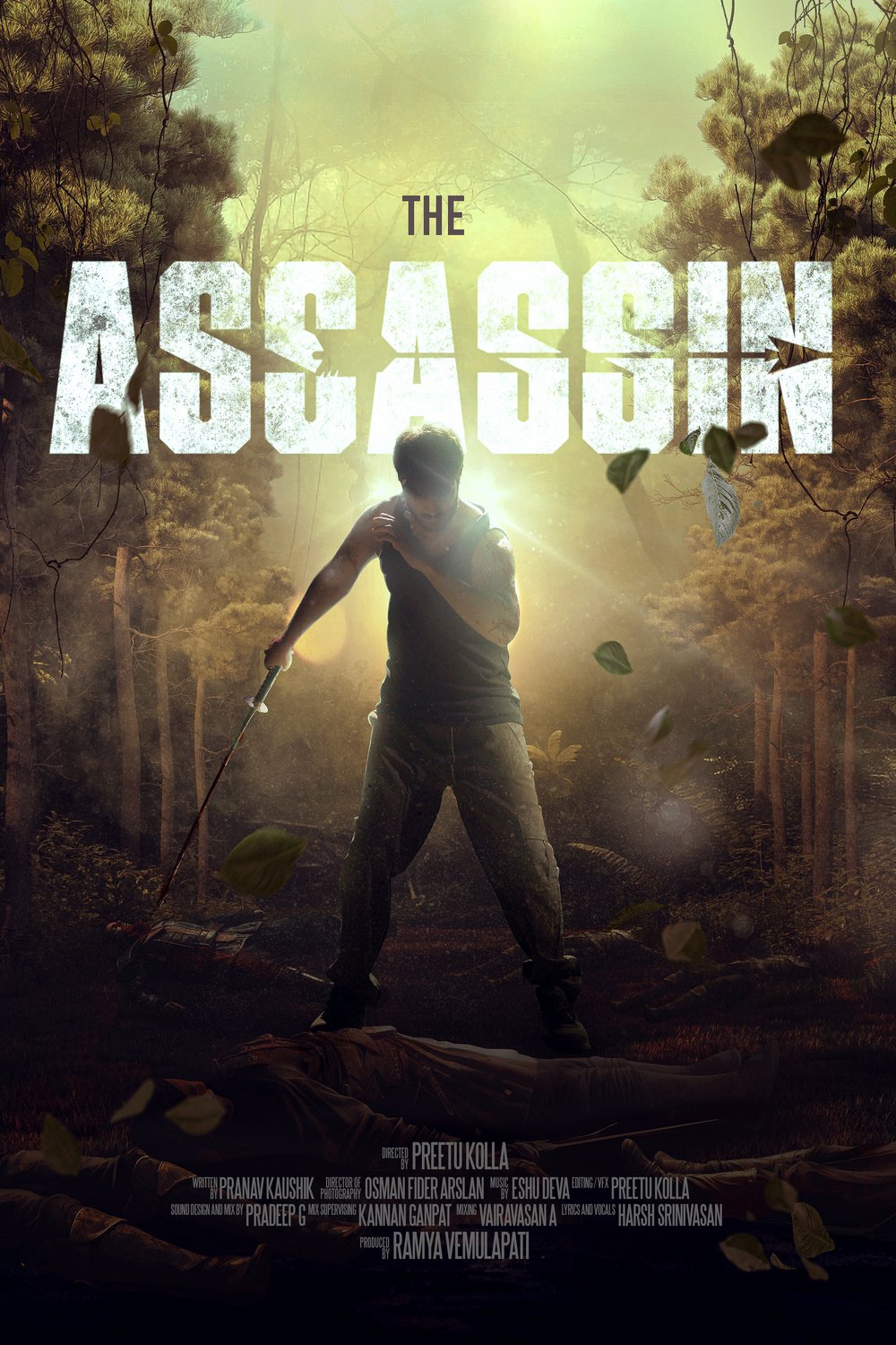Poster of the movie The Assassin