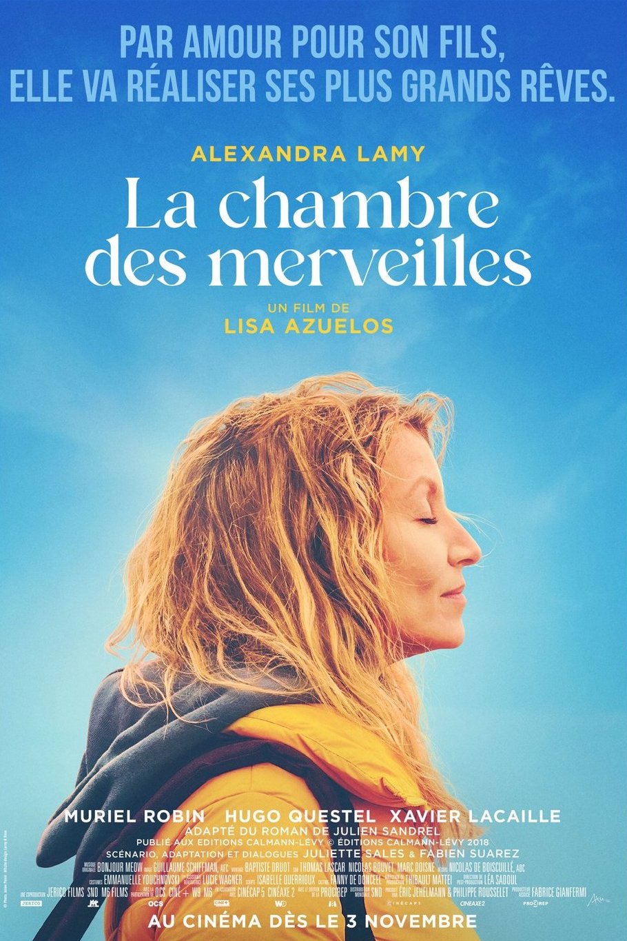 L'affiche du film La chambre des merveilles