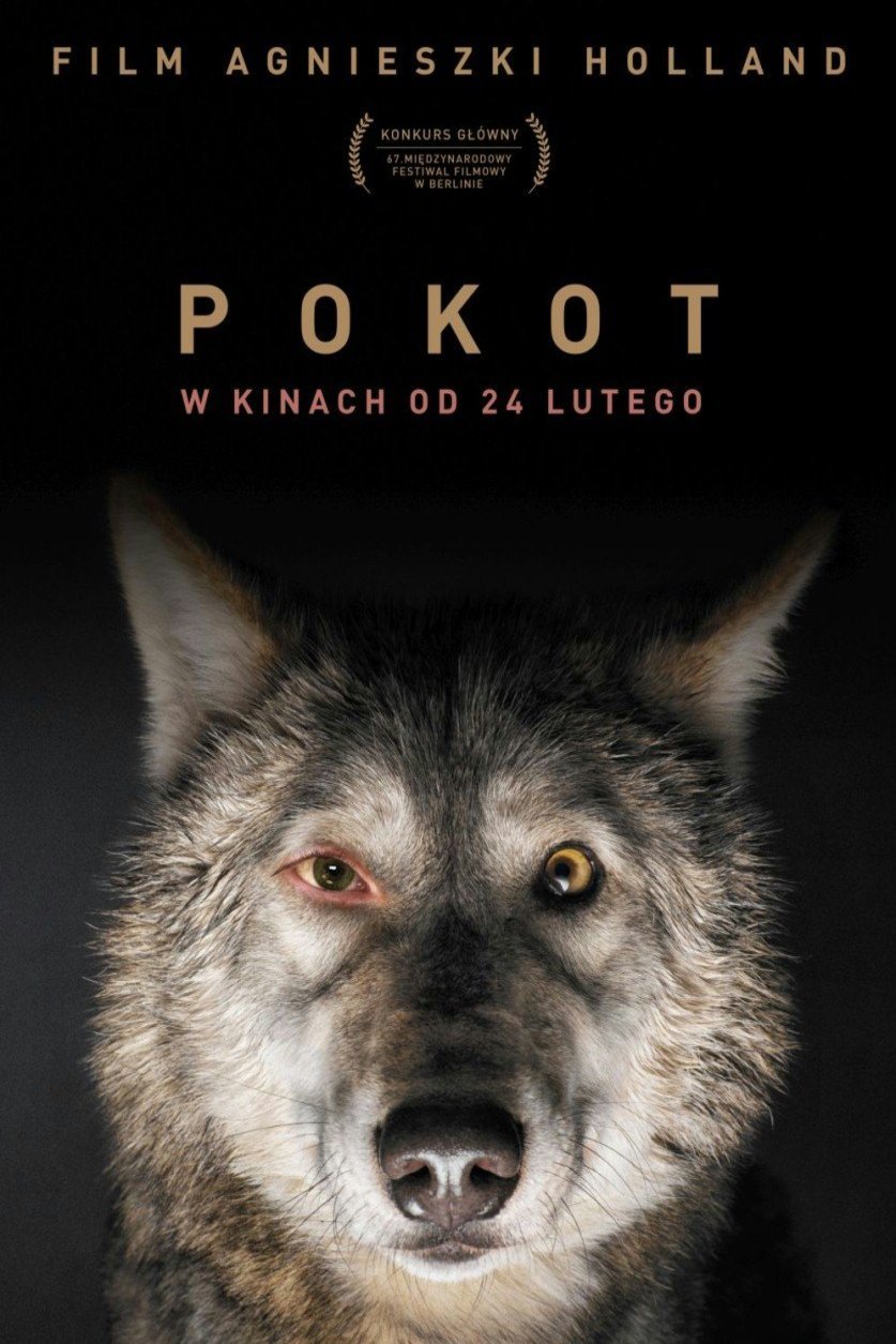 L'affiche du film Pokot
