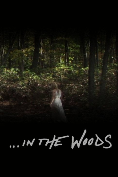 L'affiche du film The Being Experience