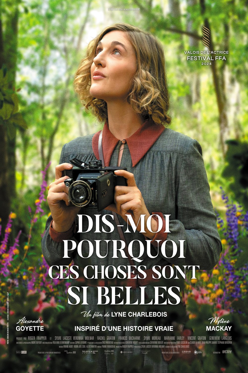 L'affiche du film Dis-moi pourquoi ces choses sont si belles