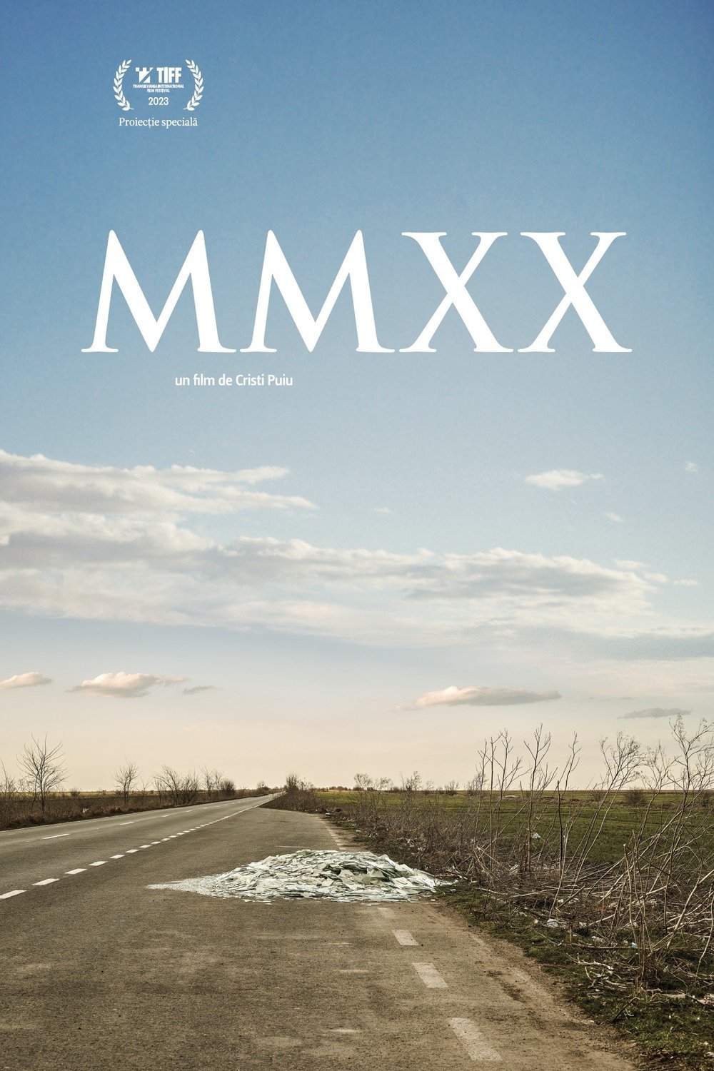 L'affiche du film MMXX