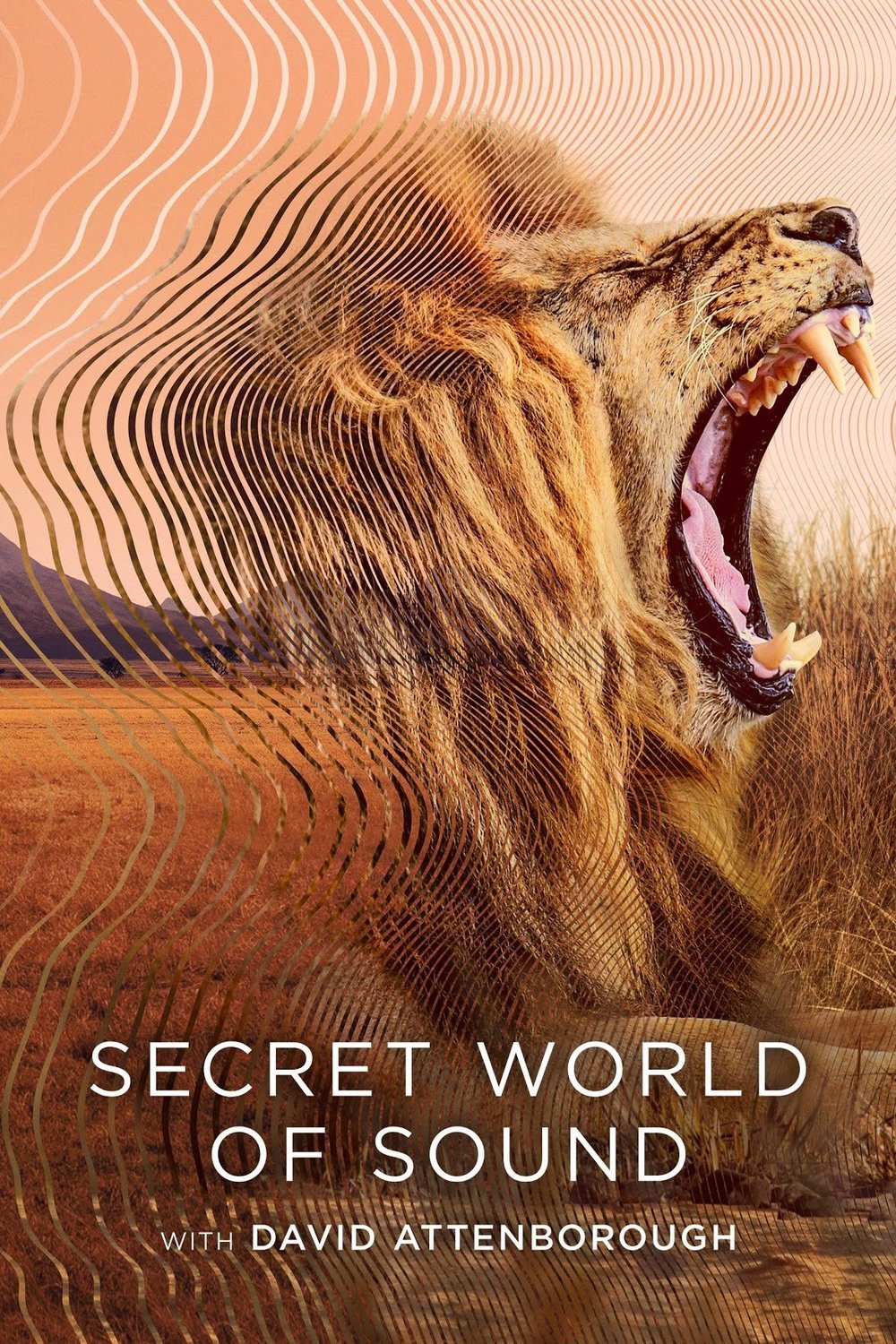 L'affiche du film Secret World of Sound with David Attenborough