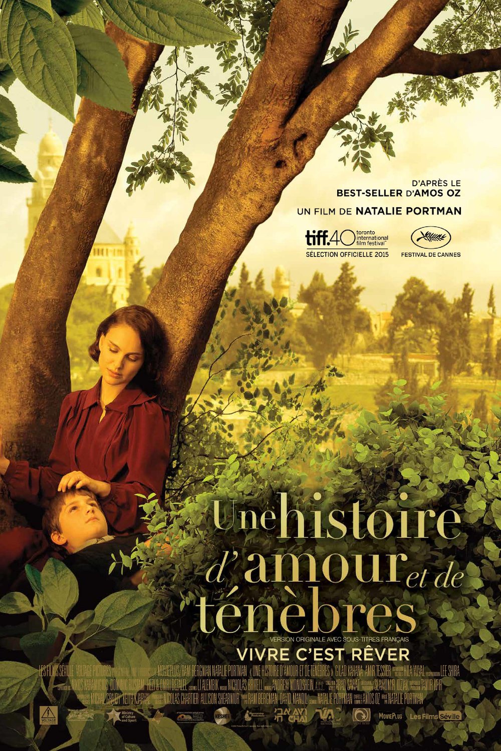 L'affiche du film Une histoire d'amour et de ténèbres
