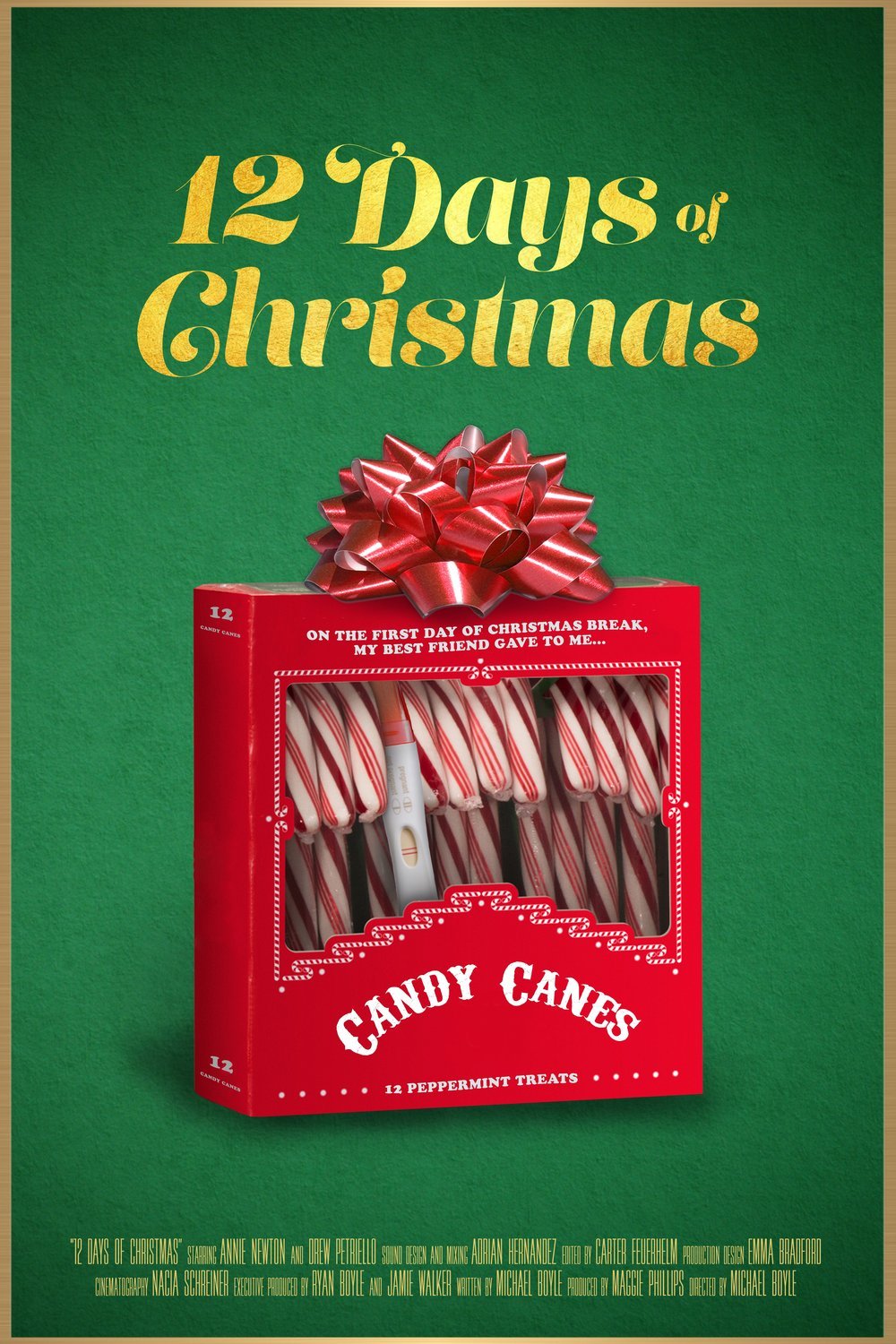 L'affiche du film 12 Days of Christmas