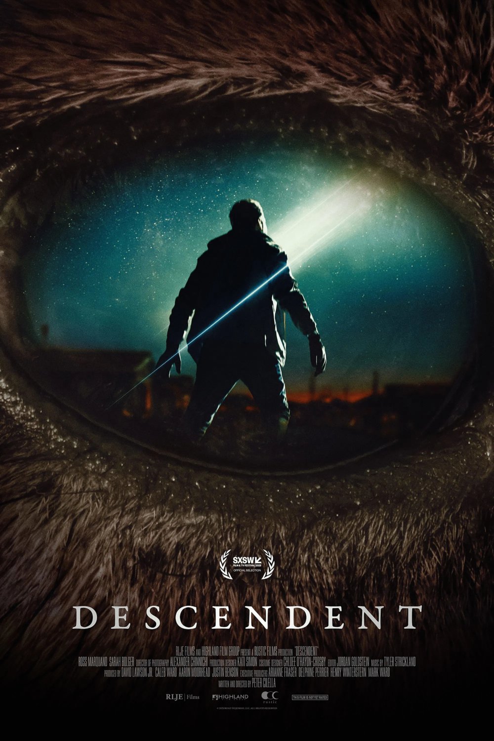 L'affiche du film Descendent