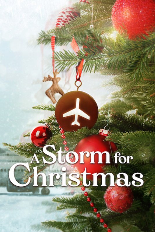 L'affiche du film A Storm for Christmas