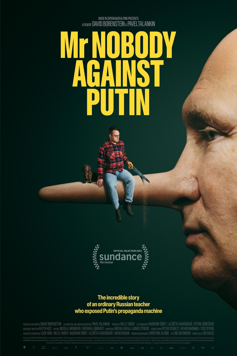 Poster of the movie Mr. Nobody Against Putin [2025]