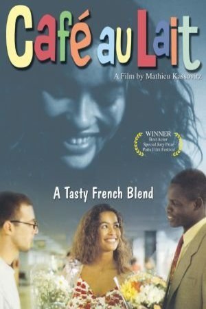 L'affiche du film Métisse