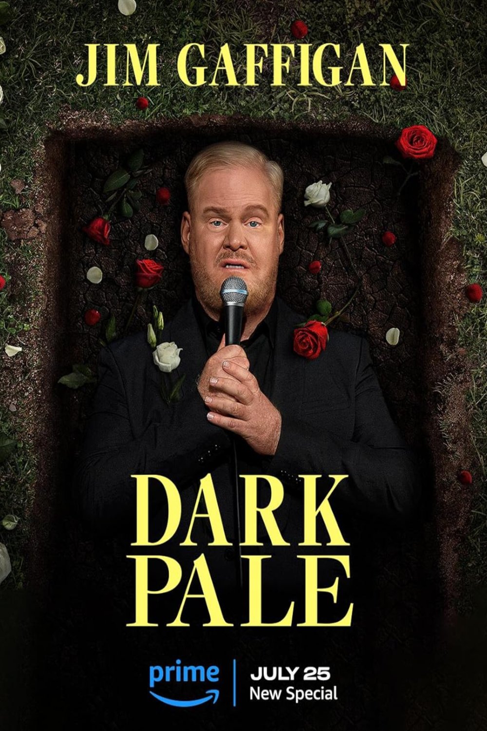 L'affiche du film Jim Gaffigan: Dark Pale