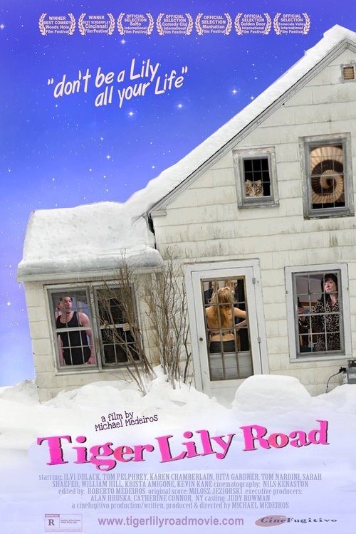L'affiche du film Tiger Lily Road