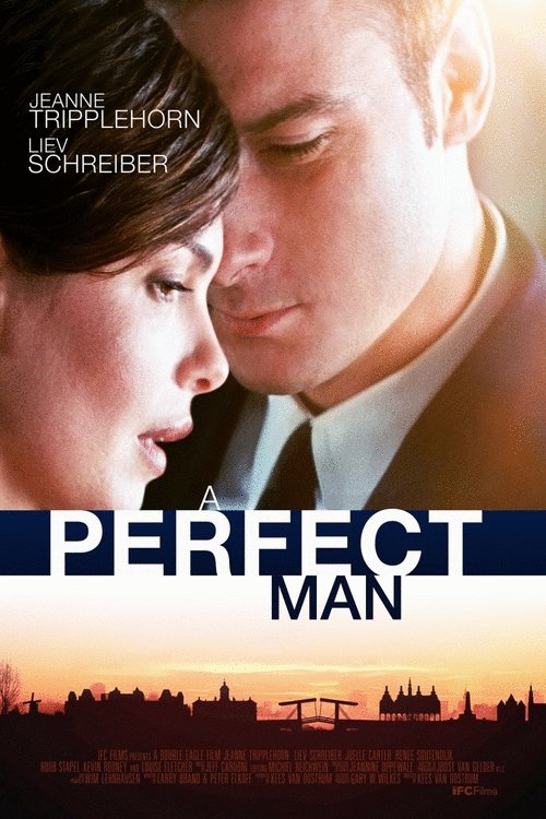 Poster of the movie A Perfect Man [2013]