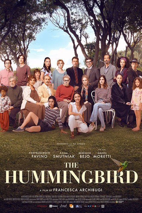 Poster of the movie The Hummingbird