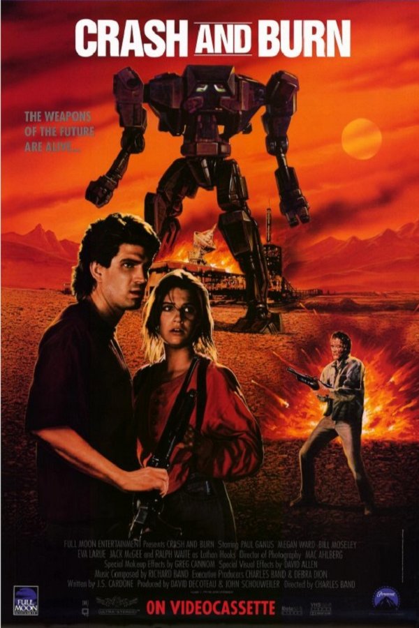 L'affiche du film Crash and Burn