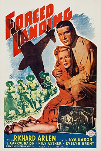 L'affiche du film Forced Landing