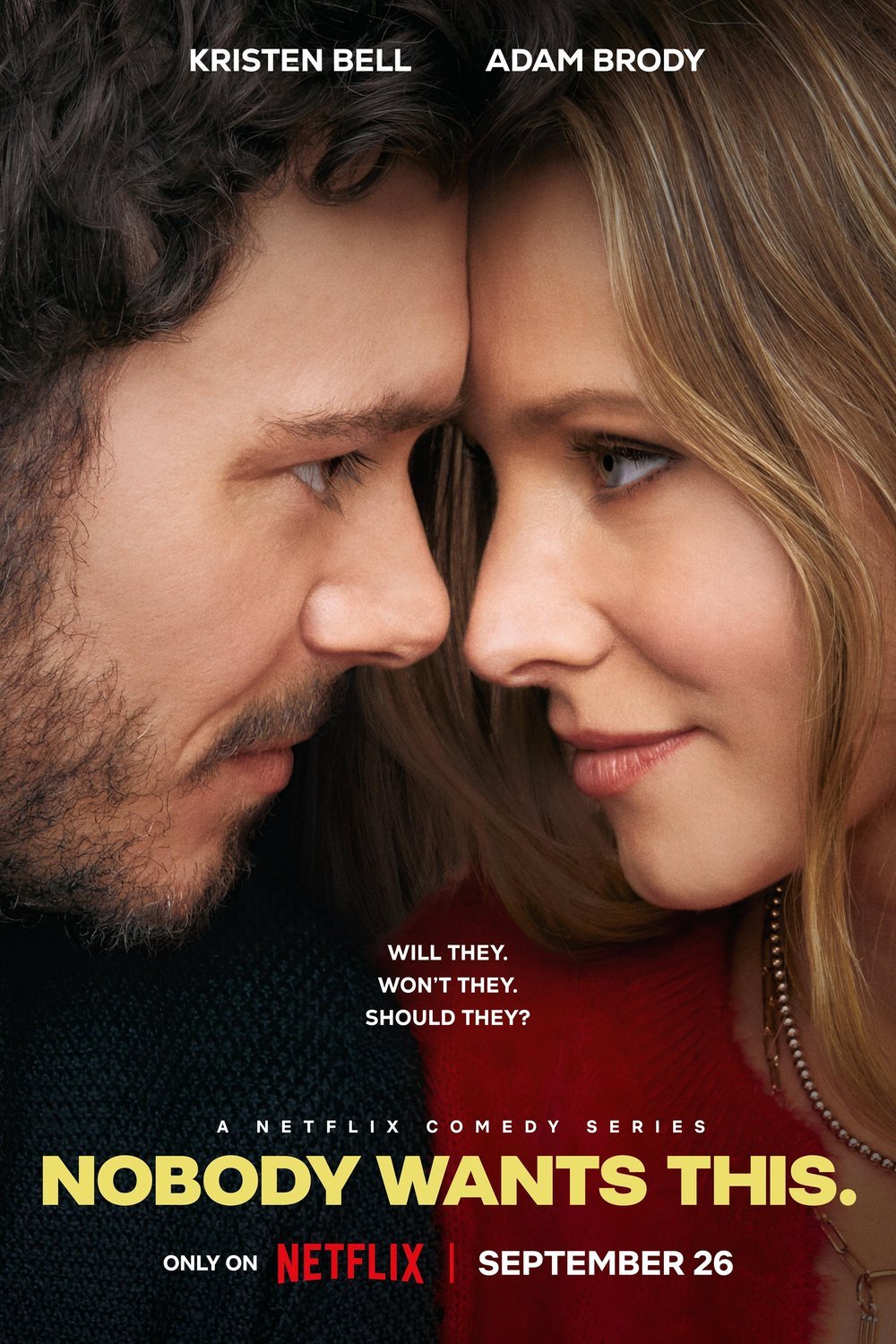 L'affiche du film Nobody Wants This