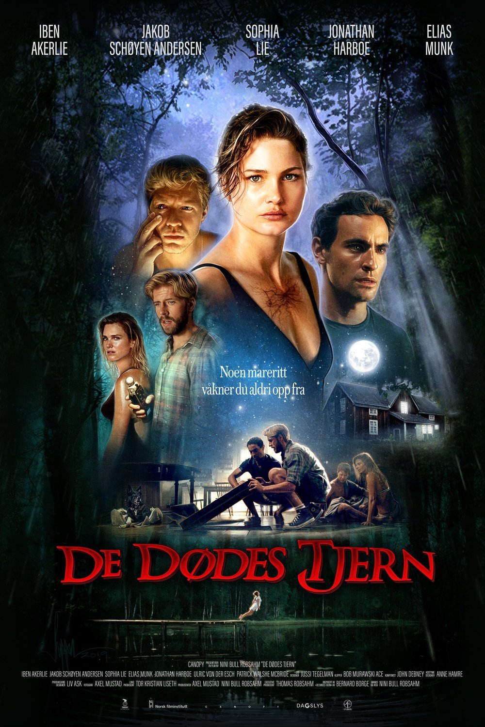 L'affiche du film De dødes tjern
