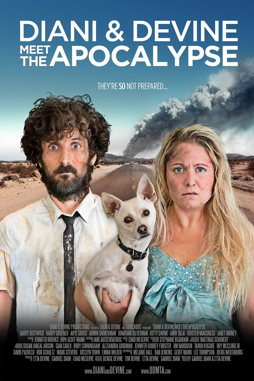 L'affiche du film Diani & Devine Meet the Apocalypse