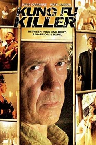 L'affiche du film Kung Fu Killer
