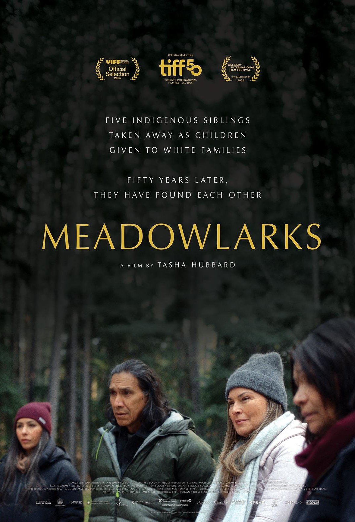 L'affiche du film Meadowlarks