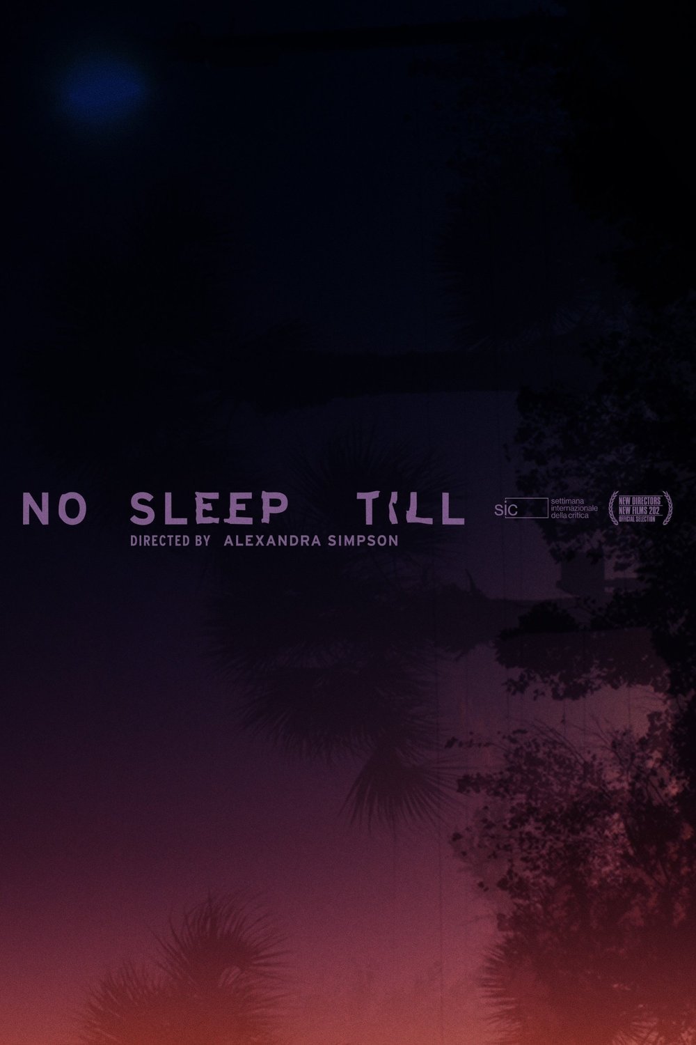 Poster of the movie No Sleep Till [2024]
