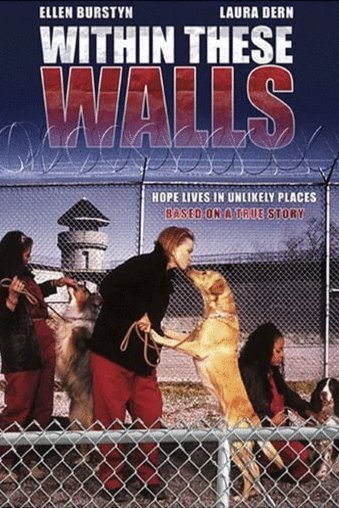 L'affiche du film Within These Walls