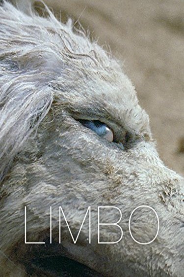 L'affiche du film Limbo