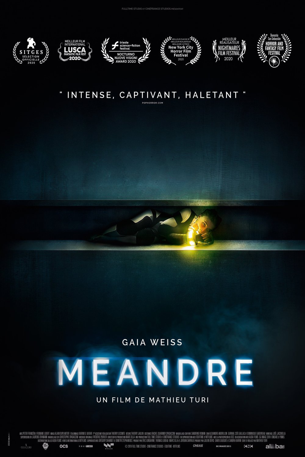 Poster of the movie Meander [2020]
