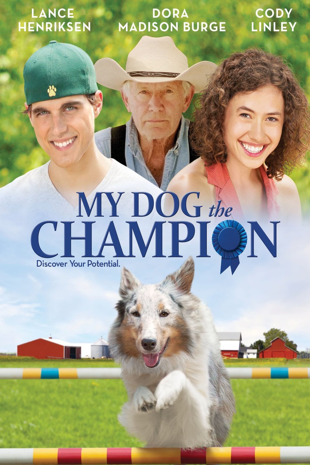 L'affiche du film Champion
