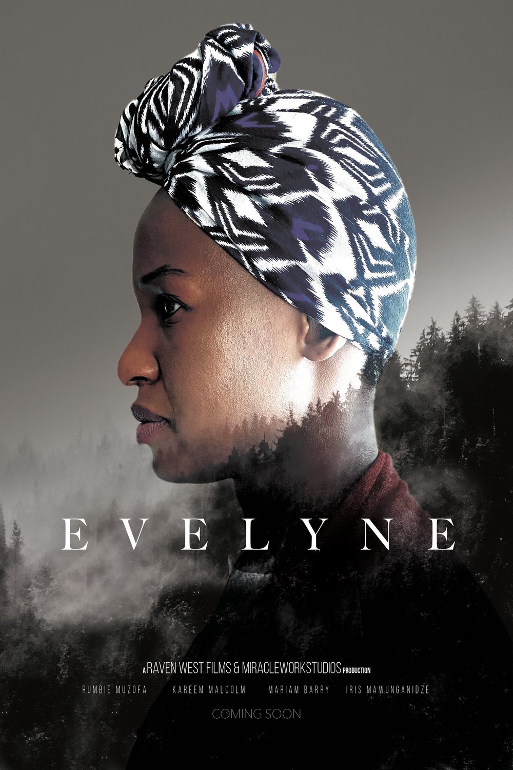 L'affiche du film Evelyne