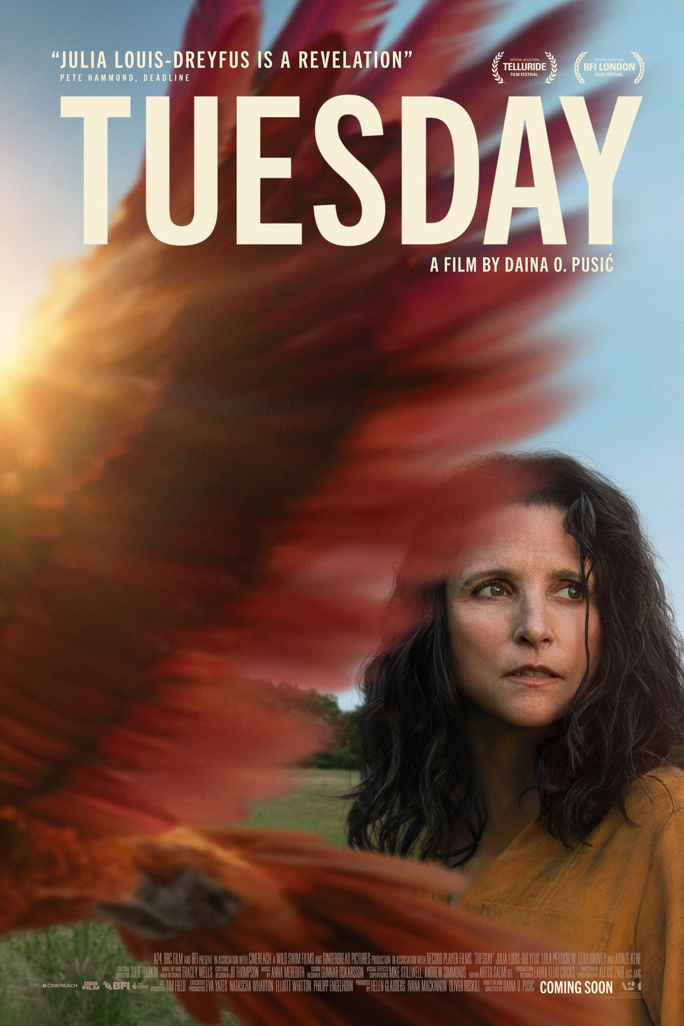 L'affiche du film Tuesday
