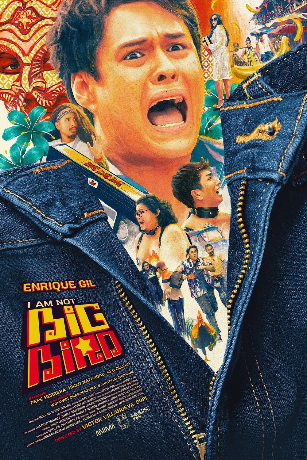 L'affiche du film I Am Not Big Bird