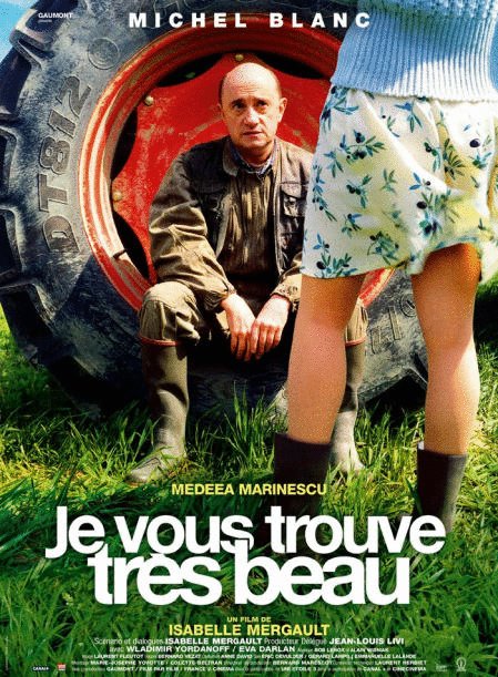 L'affiche du film Je vous trouve très beau