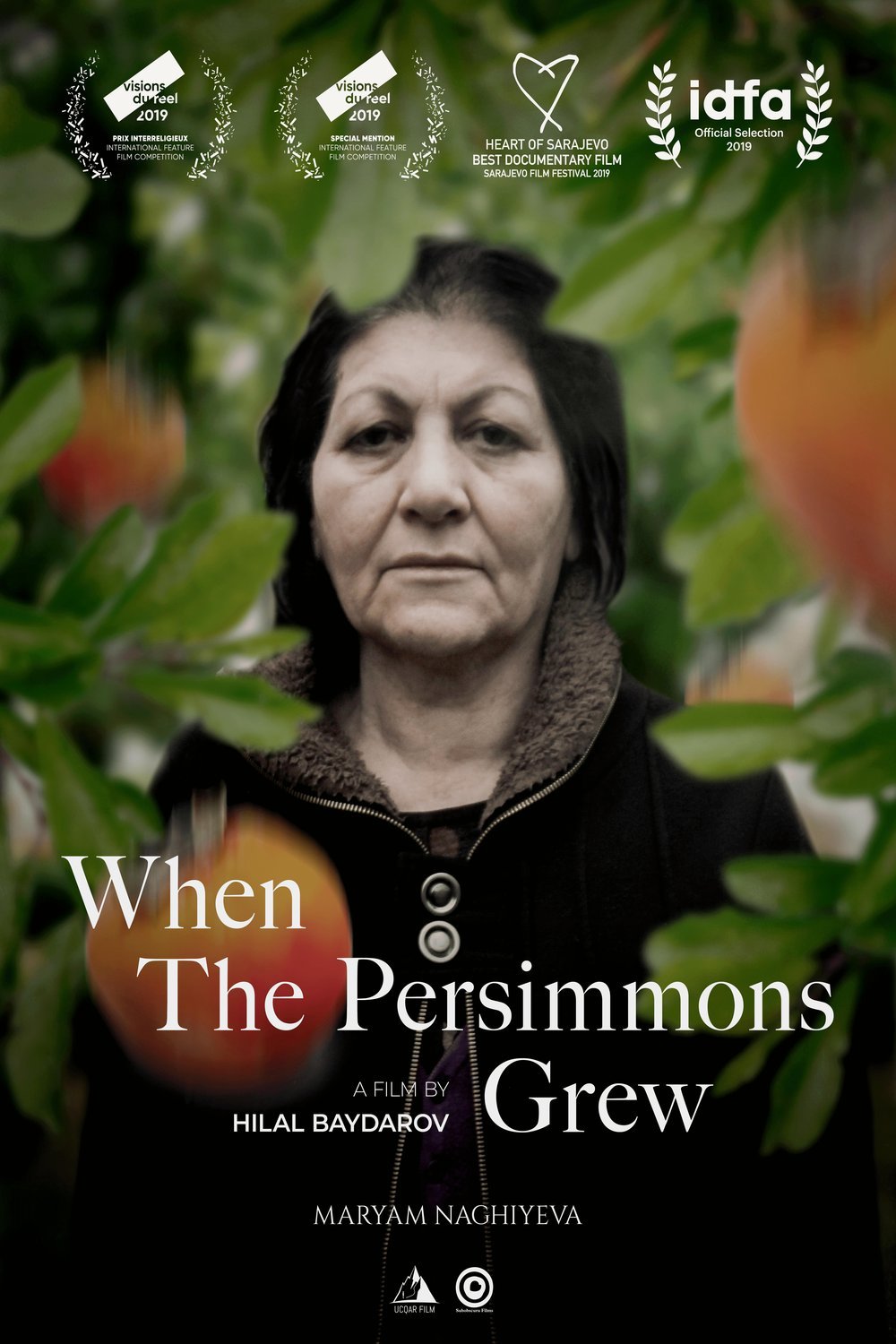 Poster of the movie When the Persimmons Grew