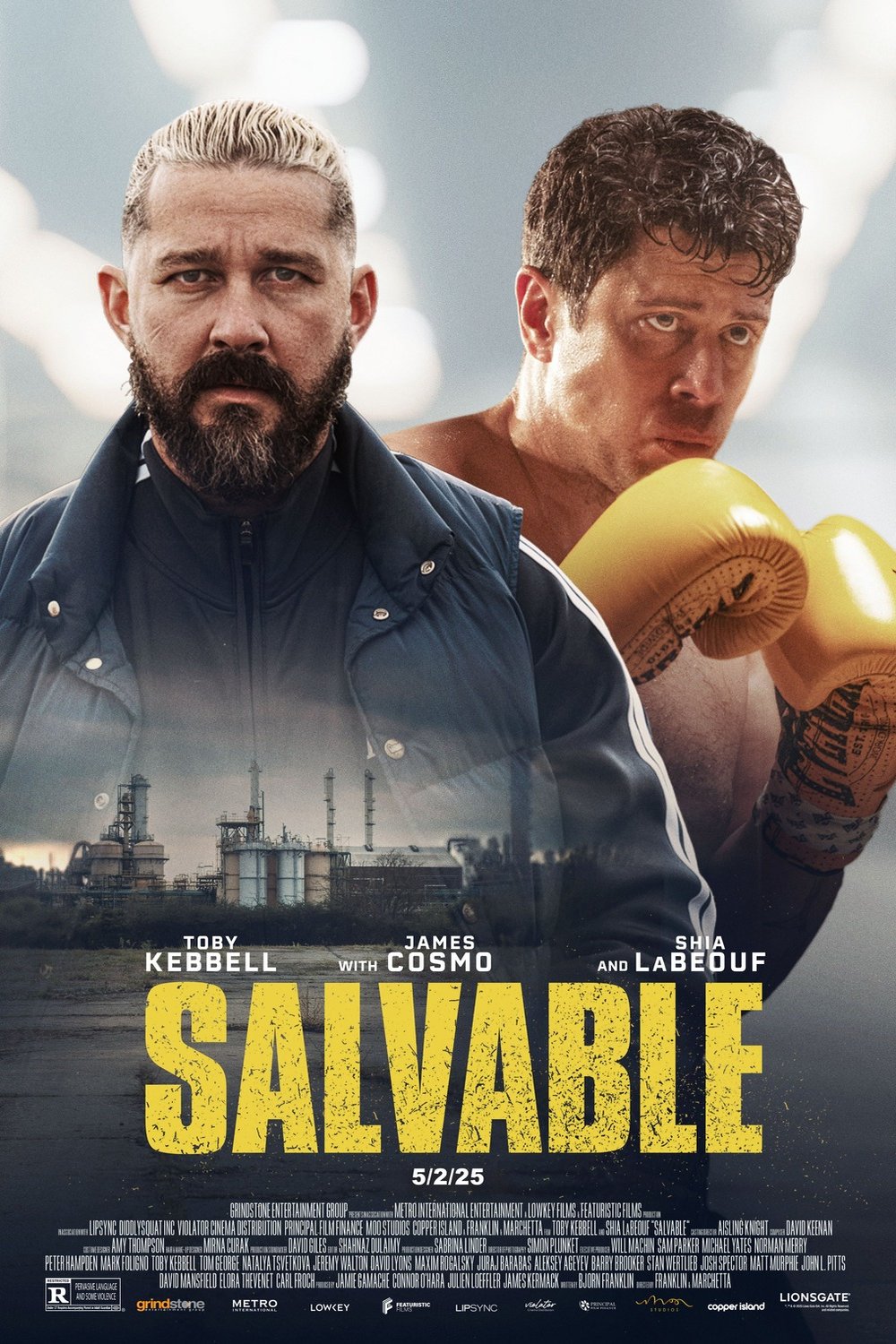 Poster of the movie Salvable