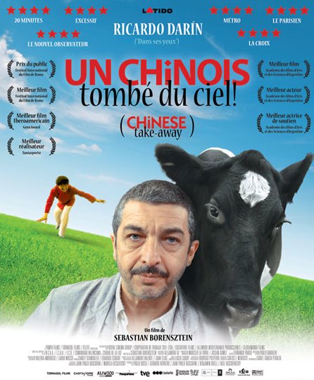 L'affiche du film Un Chinois tombé du ciel