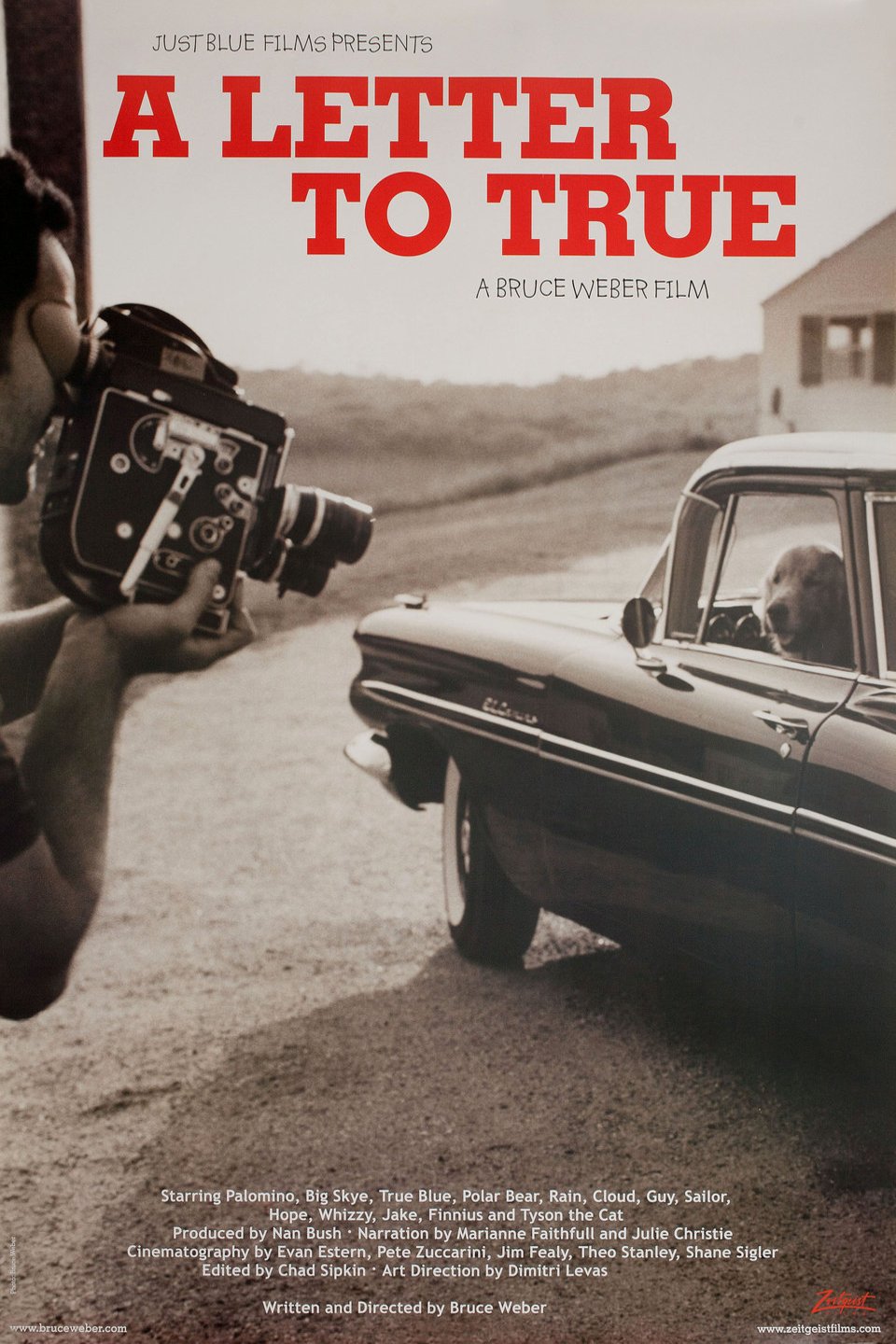 L'affiche du film A Letter to True