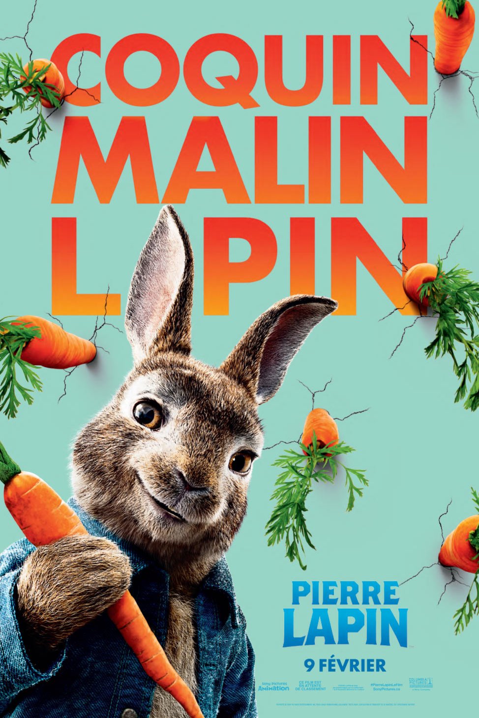 L'affiche du film Pierre Lapin